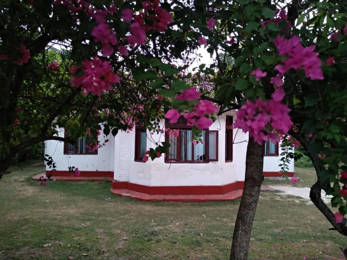 Colonial Surfing Villa Hostel & Home Stay Мидигама Ийст Екстериор снимка